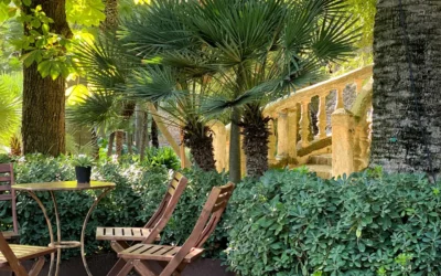 What Seniors Want Most in Their Next Chapter (Hint: It’s Not a Spa)